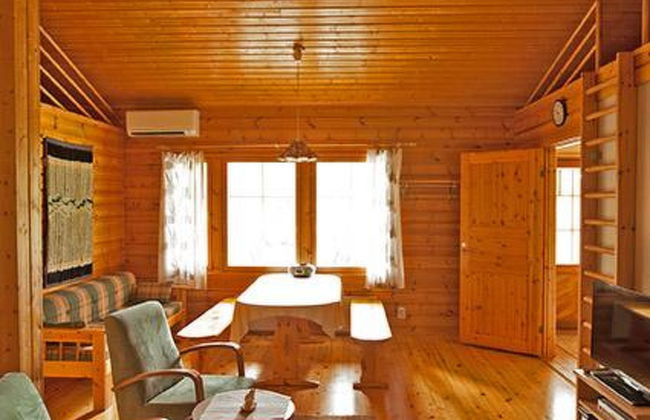 Keltavuokko - Foto 10