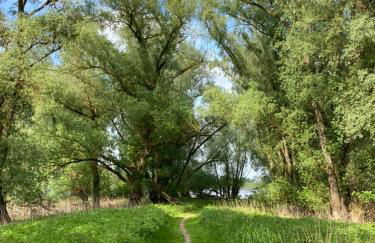 Ferienwohnung mit Sauna und Meditationsangebot - Foto 13