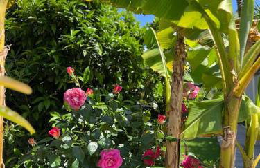 Villa Livia Porticcio piscine 500m plage - Foto 26