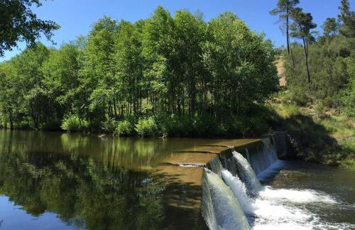 Thistle Cottage Alojamento Local - Foto 23