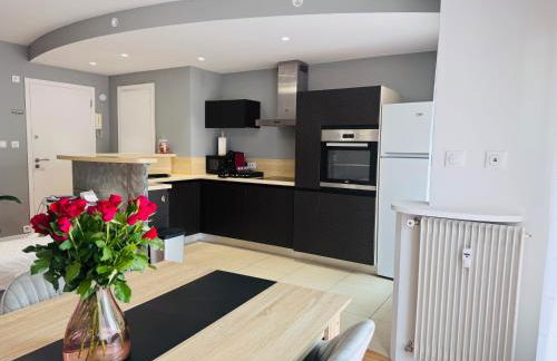 LE CARRAS - Proche de aéroport , Plage à pied - Promenade des anglais - Foto 7