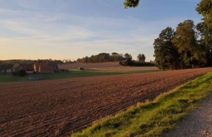 FeWo Harling - Waldoase - Foto 24