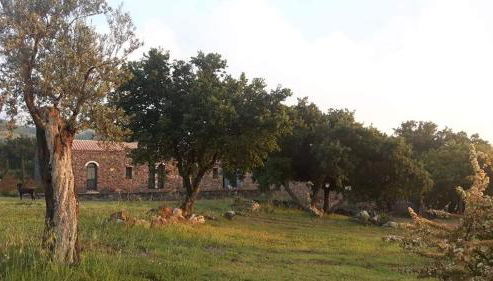 Tenuta Soria Location immersa nel verde con piscina privata - Foto 5