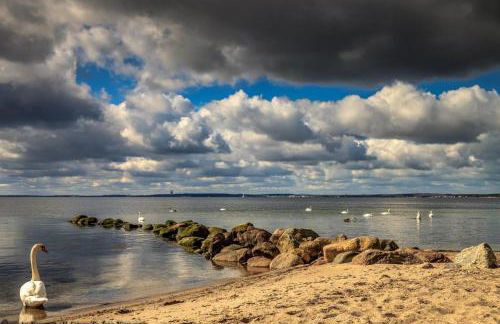 KRABBES große Hafenliebe - Foto 28