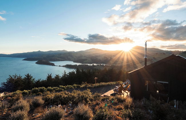 Kūkupa Matairangi at Akaroa Lavender - Foto 2