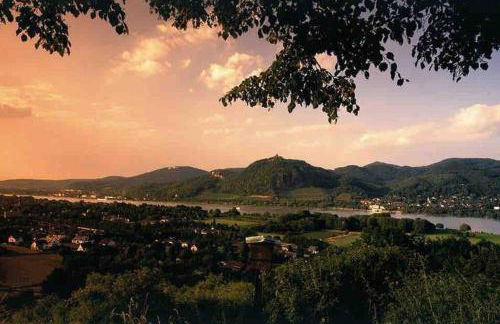 Ferienwohnung in Rheinnähe - Foto 15