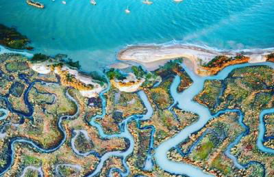 Mersea Villa - Foto 19