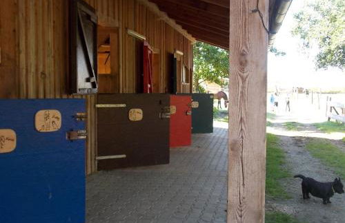 Reiterhof vom Litzlbach - Foto 56