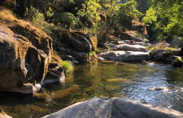 Casa da Zéfinha, em Cinfães, no Douro - Foto 17