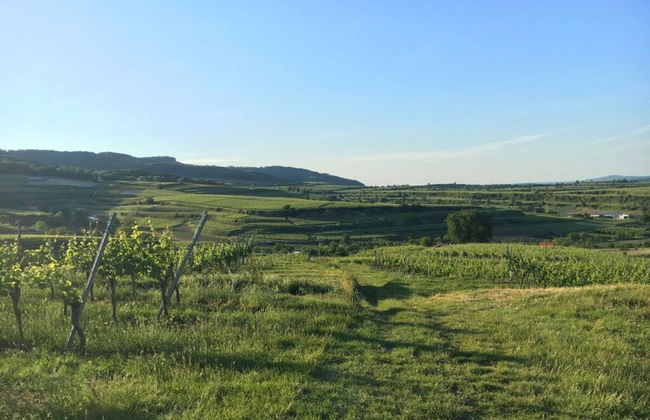 Holiday Apartment Swallow's Nest - Foto 18