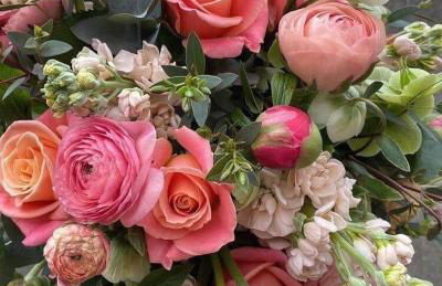 La Casa del Gallo - Foto 32