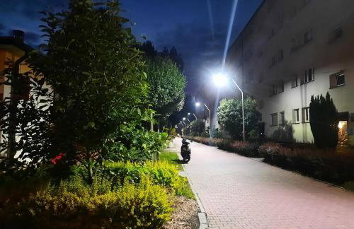 GOLD&BLACK OŚWIĘCIM CENTRUM - Photo 29