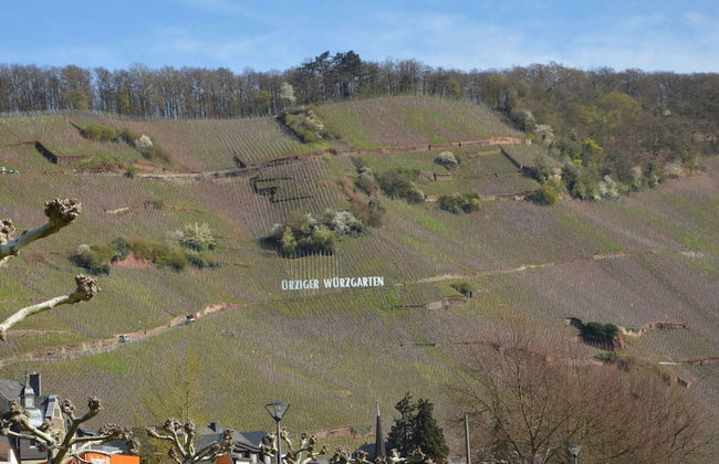 Classy Holiday Home in Rzig near Forest - Photo 37