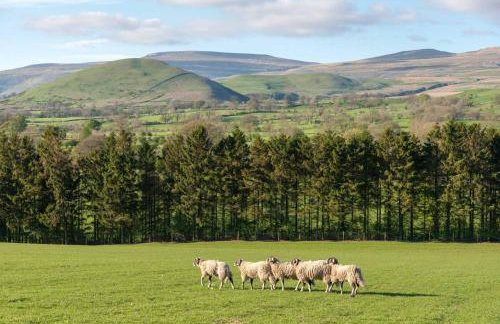 Shepherds View at Dufton Barn Holidays - Foto 14
