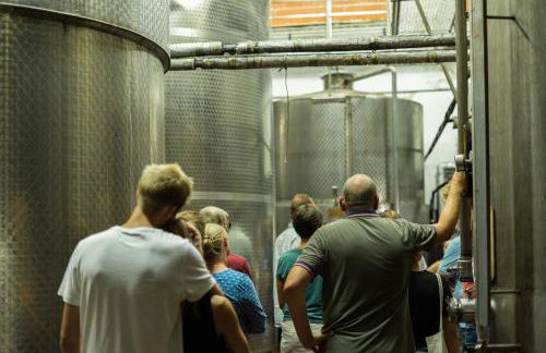 Agriturismo Streda Wine & Country Holiday - Foto 92