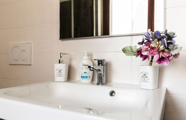 Malpensa Express in Vizzola Ticino - Photo 36