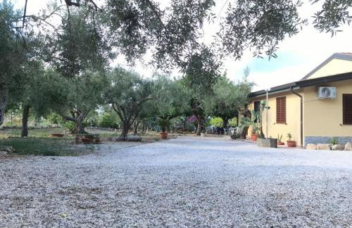 Bouganville in Villa Greco - Foto 40