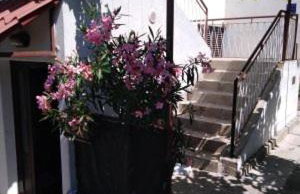 Apartments Medici - Photo 30