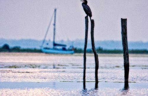 Isle of Wight Cabin - Foto 17