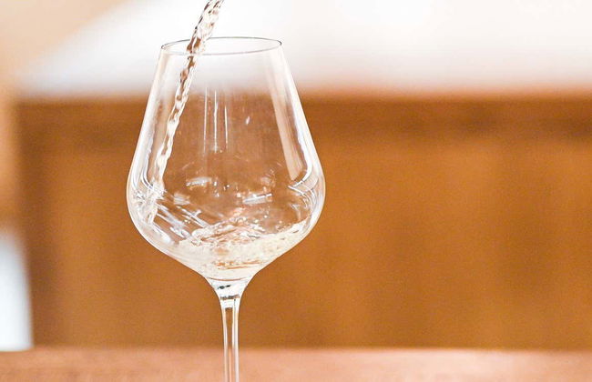 Visita a la Bodega Bouza - Foto 1