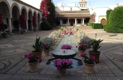 Irache Dreams - Foto 19