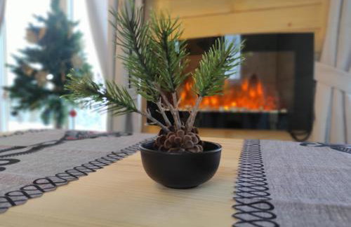 Bieszczadzka Chatka- domek góralski - Foto 22