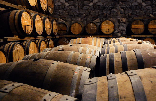 Bezalel Estate Country House - Photo 25