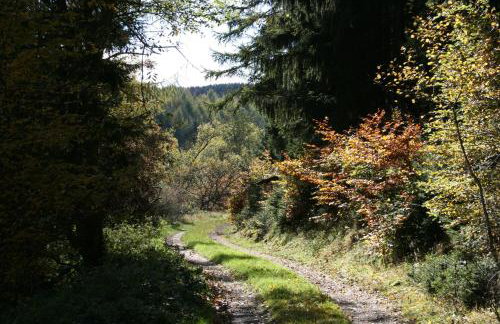 Ferienwohung zum Wasserfall - Foto 14