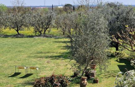 Casa Morena - Foto 30