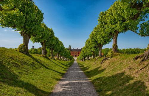 Mühlenblick - Foto 7