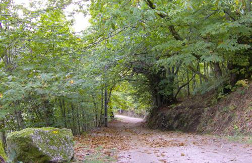 Recanto da Neta - Foto 37