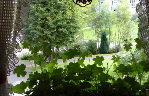 Gästehaus Brigitte Kienzler - Foto 24