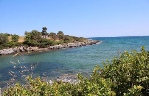 Konstantinos - Photo 19