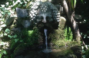 Il Pioppo Antico - Photo 58