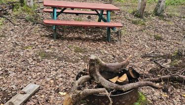 Happy Trails Hideout #2 - Foto 4