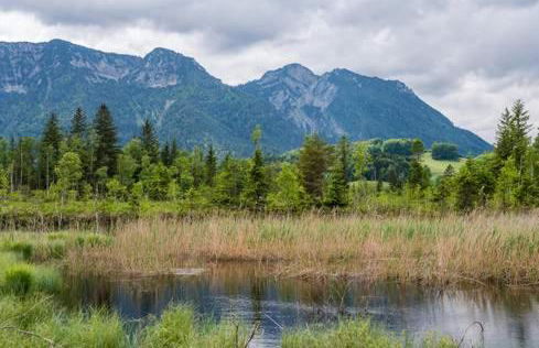 Gästehaus Aicher - Chiemgau Karte - Foto 15