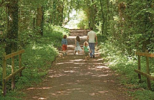 New Forest holiday lodge - Foto 51