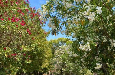 Agriturismo La Sorgente di Rossi Valentino - Foto 14