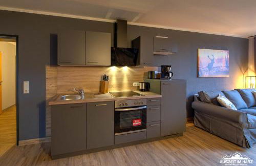 Auszeit-im-Harz Haus 5 Wohnung 37 - Foto 2