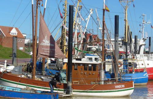 Vier Sterne am Hafen, Ditzum - Foto 45