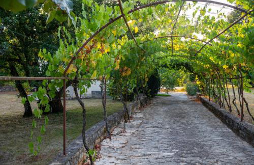 Apartman Jala - Foto 10