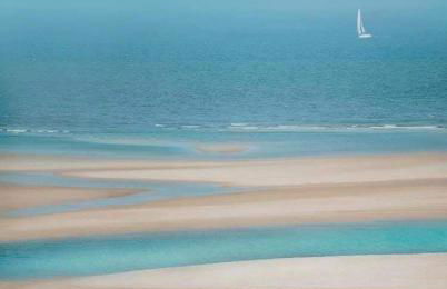 OmniaX Apartment - Foto 50