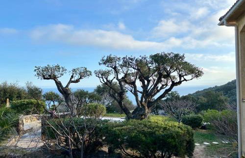 Bella Vita Brando - Foto 7