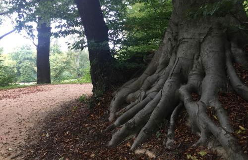 Rast am Park - Foto 23