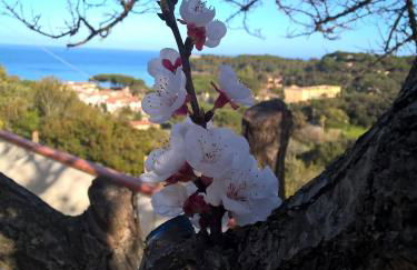 Elba Residence - Foto 18