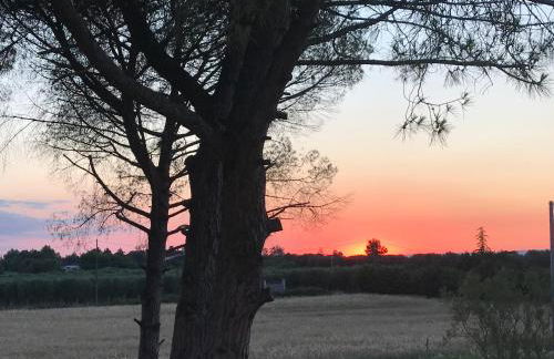 Villa Fontana - Foto 65