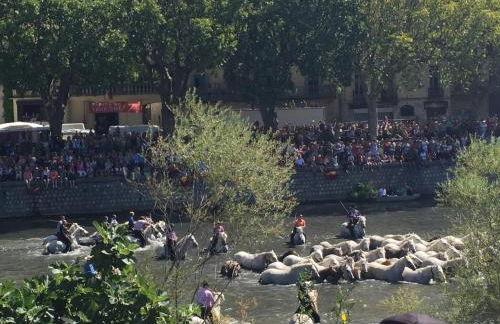 Petit Paradis, 1 bedroom house - Foto 42