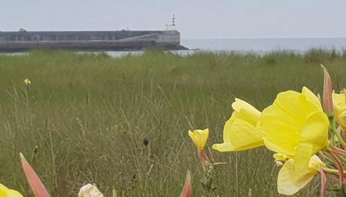 laArenaconfort - Foto 2