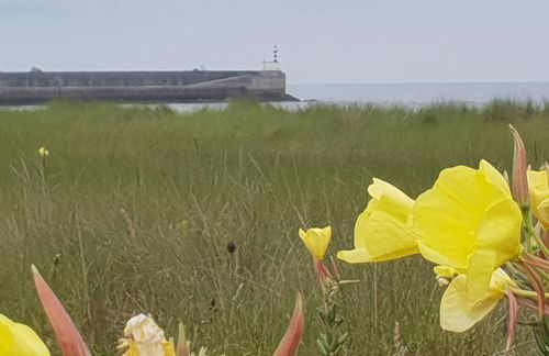 laArenaconfort - Foto 2