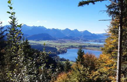 Beim Winkel Max - Photo 18